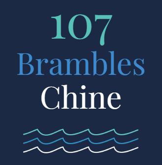 107 Brambles Chine Case Study Logo Chell Web & Design