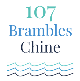 107 Brambles Chine Case Study logo Chell Web & Design