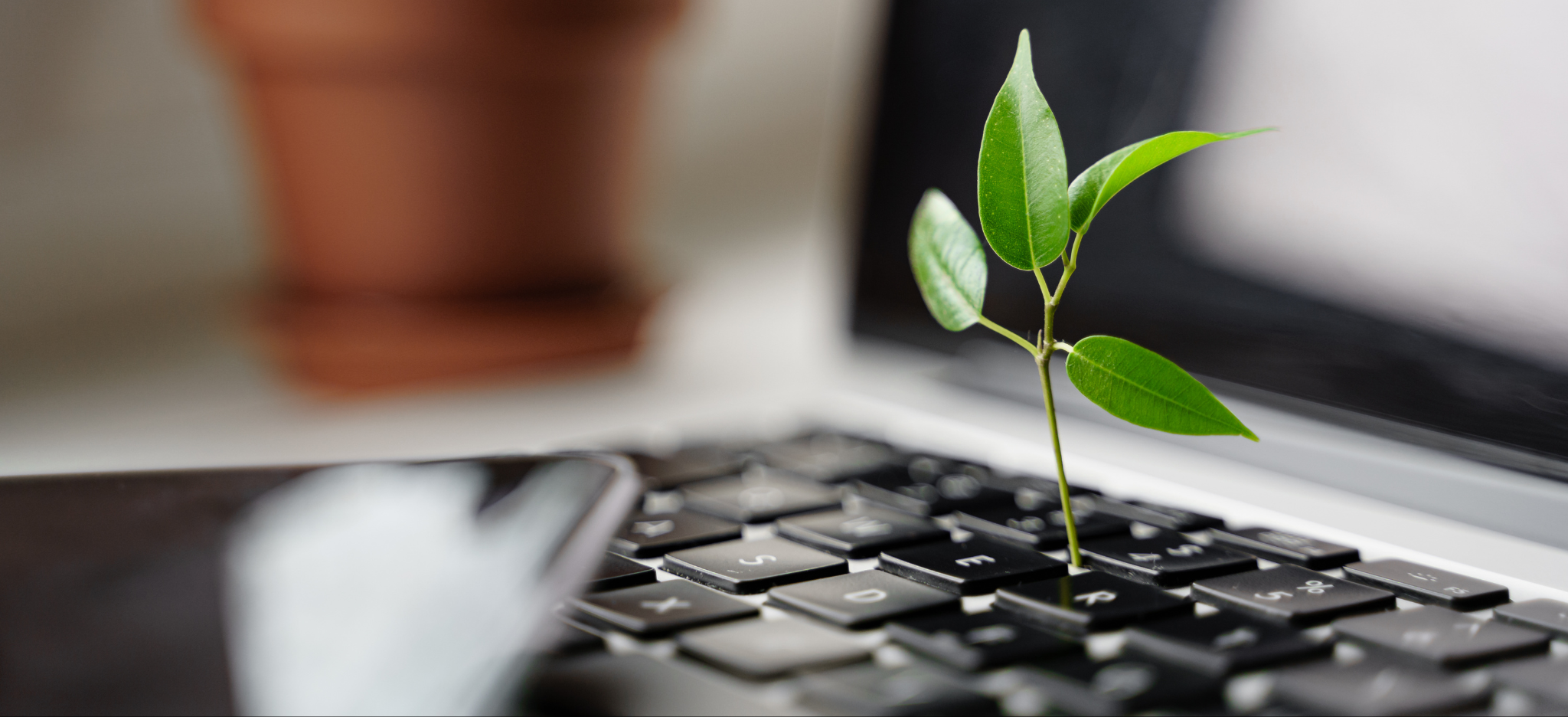 Building a Greener Website: Eco-Friendly Website Development